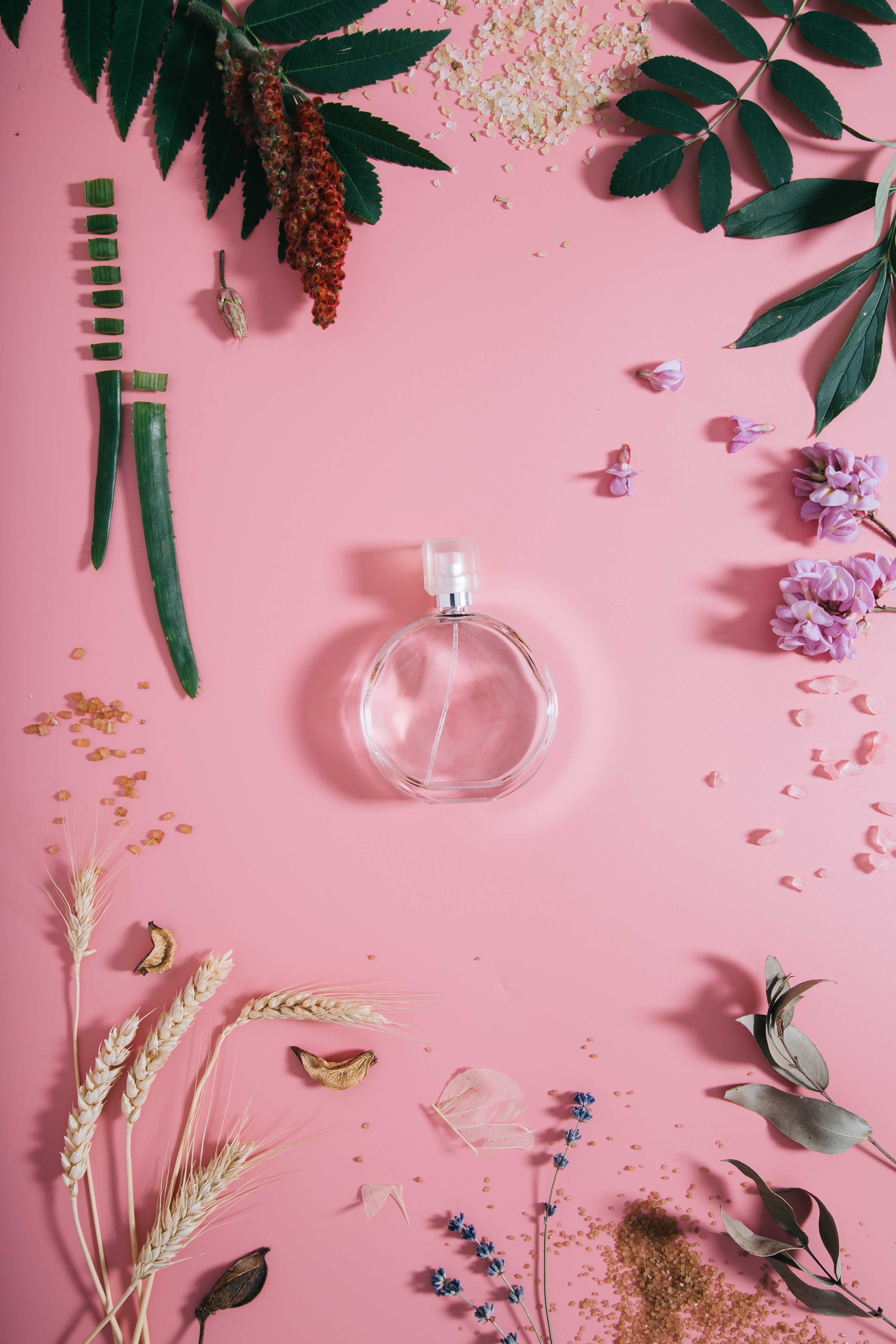 Image catégorie parfums femmes