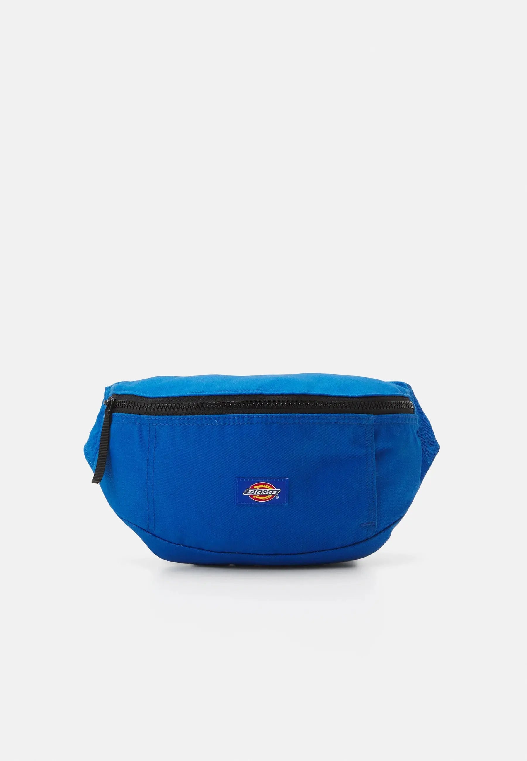 BLANCHARD UNISEX - Sac banane - turkish sea Dickies