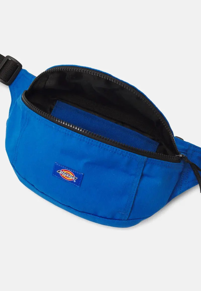 BLANCHARD UNISEX - Sac banane - turkish sea Dickies