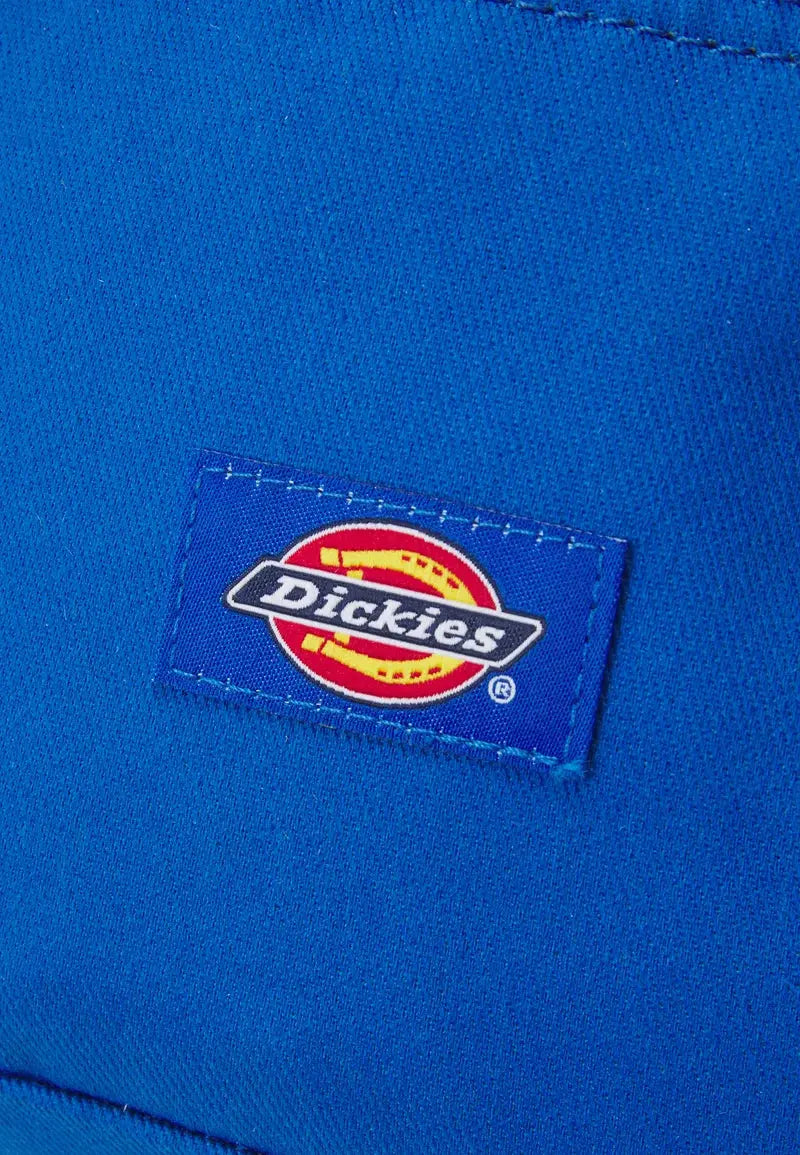 BLANCHARD UNISEX - Sac banane - turkish sea Dickies