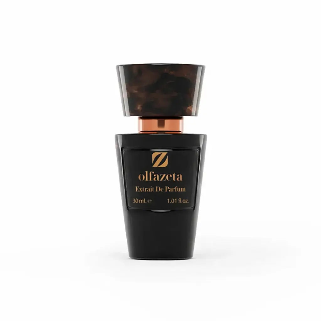 Dark Nectar 3147M - Inspiré de Bottled Absolu by Hugo Boss - Parfum Homme 30 ml Chogan