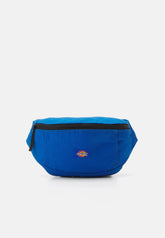 BLANCHARD UNISEX - Sac banane - turkish sea Dickies