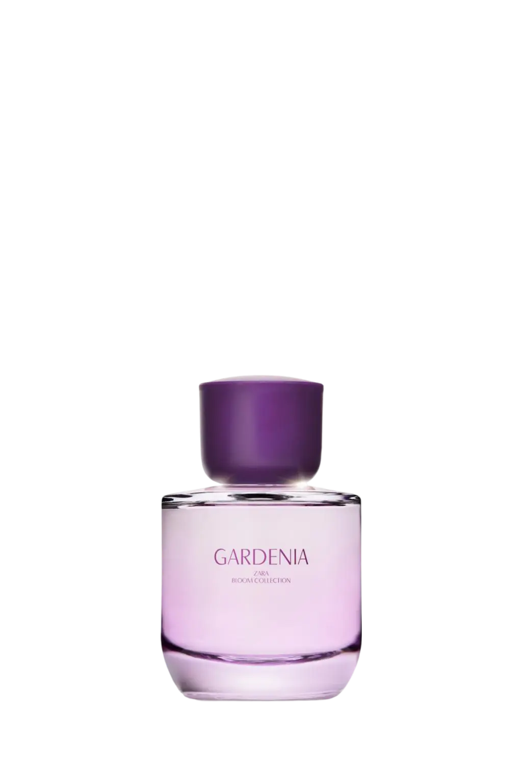 GARDENIA ZARA EDP 90 ML Zara